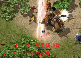 ȭ���ִ���˽�����¹��ԣ���ο�������ս������