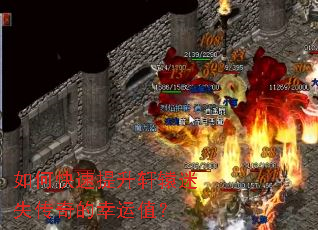 ��ο���������ԯ��ʧ���������ֵ��