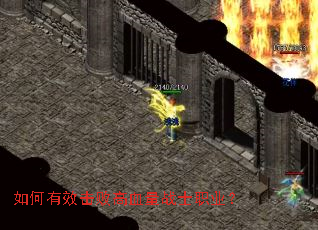 �����Ч���ܸ�Ѫ��սʿְҵ��