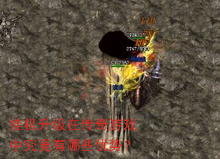 �һ������ڴ�����Ϸ�о�������Щ���ƣ�