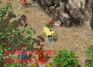 սʿ�ȼ��ڴ�����Ϸ�е����ж���Ҫ��