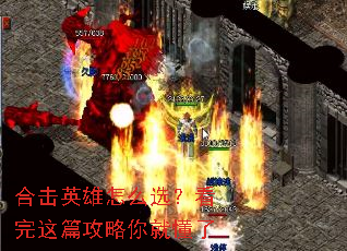 �ϻ�Ӣ����ôѡ��������ƪ������Ͷ���