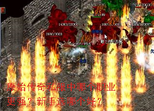 ԭʼ����˽�����ĸ�ְҵ��ǿ������ѡ�ĸ��ã�