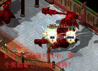 新开传奇私服特权中,哪个奖励最让人热血沸腾? 新开传奇私服特权中,哪个奖励最让人热血沸腾?