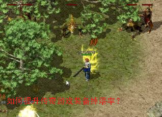 �������������Ϸװ�������ʣ�