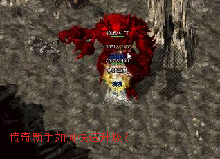 ����������ο���������