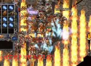 ����������ο���������