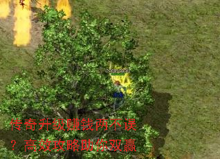 ��������׬Ǯ�����󣿸�Ч��������˫Ӯ