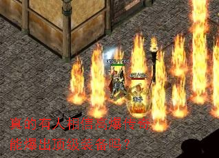 ����������Ÿ߱������ܱ�������װ����