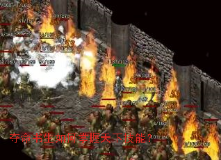 ������������������¼��ܣ�