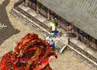 ���Ĥ�ݳ�������ս����