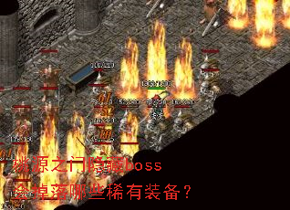 ��Դ֮������boss�������Щϡ��װ����