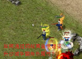 如何通过捐献黄金快速提升沙城争霸角色属性? 如何通过捐献黄金快速提升沙城争霸角色属性?