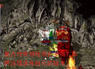 ���Ŵ�����Ϸ���ڶ������ѡ���ʺ��Լ��İ汾��