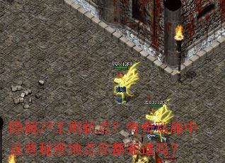 ����ʬ��ˢ�µ㣿����˽������Щ���ܵص��㶼֪����