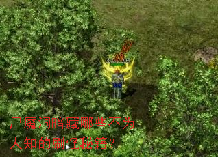 尸魔洞暗藏哪些不为人知的刷怪秘籍? 尸魔洞暗藏哪些不为人知的刷怪秘籍?