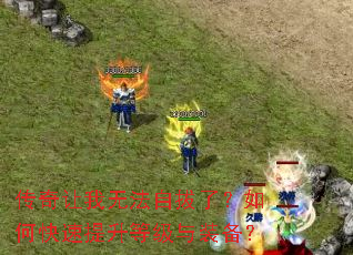 ���������޷��԰��ˣ���ο��������ȼ���װ����