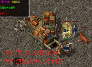 �������Լ��ĸо��𣿴�����Ϸ�����ĵ��ʴ�