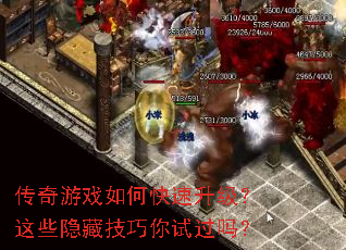 ������Ϸ��ο�����������Щ���ؼ������Թ���