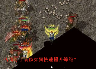 �������������ο��������ȼ���