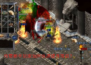 �������������ο��������ȼ���