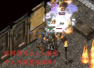 ���׫д������ʤ�ĸ��˴�����Ϸ���ԣ�