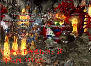 传奇高手养成指南:新手疑问1000问? 传奇高手养成指南:新手疑问1000问?