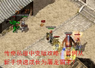 ����˽���б�湥�ԣ���δ����ֿ��ٳɳ�Ϊ����������