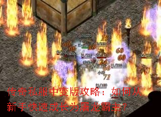 ����˽���б�湥�ԣ���δ����ֿ��ٳɳ�Ϊ����������