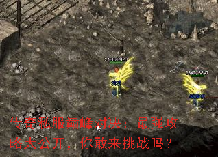 ����˽���۷�Ծ�����ǿ���Դ󹫿����������ս��