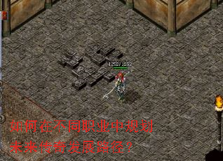 ����ڲ�ְͬҵ�й滮δ�����淢չ·����