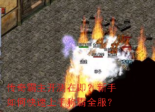 ������������ڼ���������ο������ֳư�ȫ����