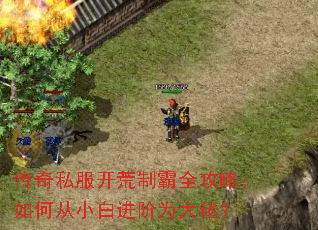 ����˽�������ư�ȫ���ԣ���δ�С�׽���Ϊ���У�