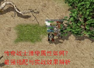 ����սʿ����������Σ���ǿ������ʵսЧ������