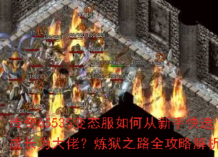 ����65535��̬����δ����ֿ��ٳɳ�Ϊ���У�����֮·ȫ���Խ�����