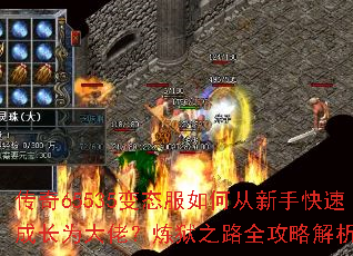 ����65535��̬����δ����ֿ��ٳɳ�Ϊ���У�����֮·ȫ���Խ�����