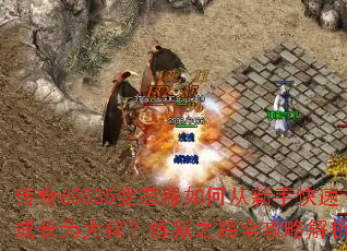 ����65535��̬����δ����ֿ��ٳɳ�Ϊ���У�����֮·ȫ���Խ�����