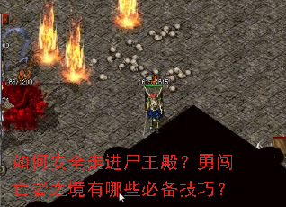 ��ΰ�ȫ�߽�ʬ����´�����֮������Щ�ر����ɣ�