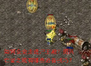 ��ΰ�ȫ�߽�ʬ����´�����֮������Щ�ر����ɣ�