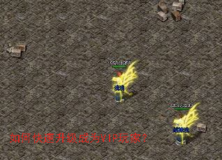 ��ο���������ΪVIP��ң�