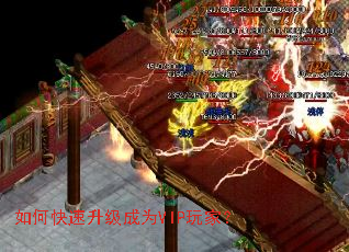 ��ο���������ΪVIP��ң�