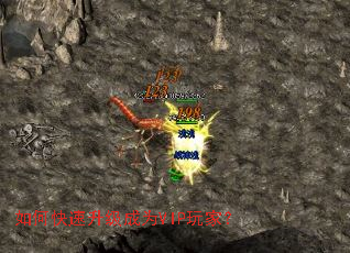 ��ο���������ΪVIP��ң�