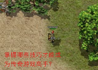 ������Щ���ɲ��ܳ�Ϊ������Ϸ���֣�