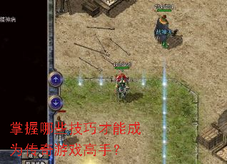 ������Щ���ɲ��ܳ�Ϊ������Ϸ���֣�