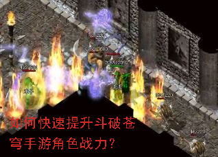 ��ο����������Ʋ�����ν�ɫս����