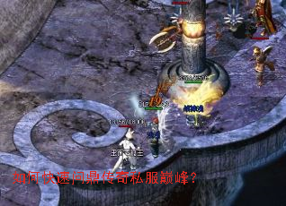 ��ο����ʶ�����˽���۷壿