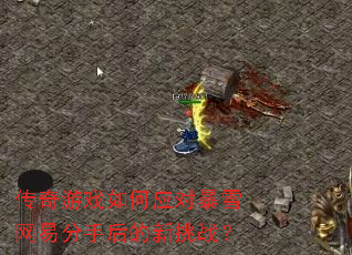 ������Ϸ���Ӧ�Ա�ѩ���׷��ֺ������ս��