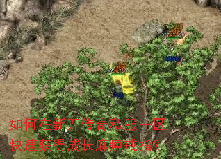 ������¿�����˽��һ�����ٻ�óɳ���Խ�ָ��