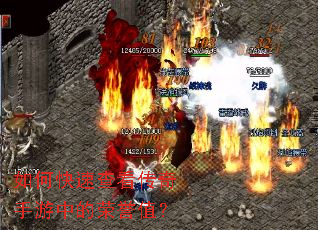 ��ο��ٲ鿴���������е�����ֵ��