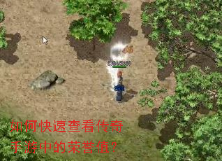 ��ο��ٲ鿴���������е�����ֵ��